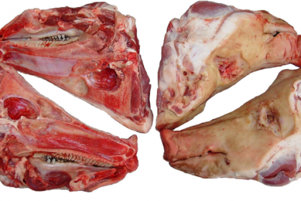Frozen Pork heads Frozen Pork half heads - C.VALE - COOPERATIVA AGROINDUSTRIAL